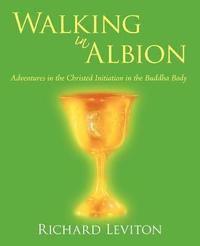 bokomslag Walking in Albion
