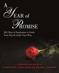 bokomslag A Year of Promise