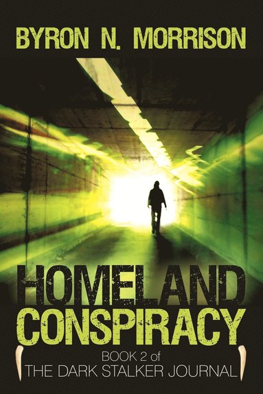 bokomslag Homeland Conspiracy