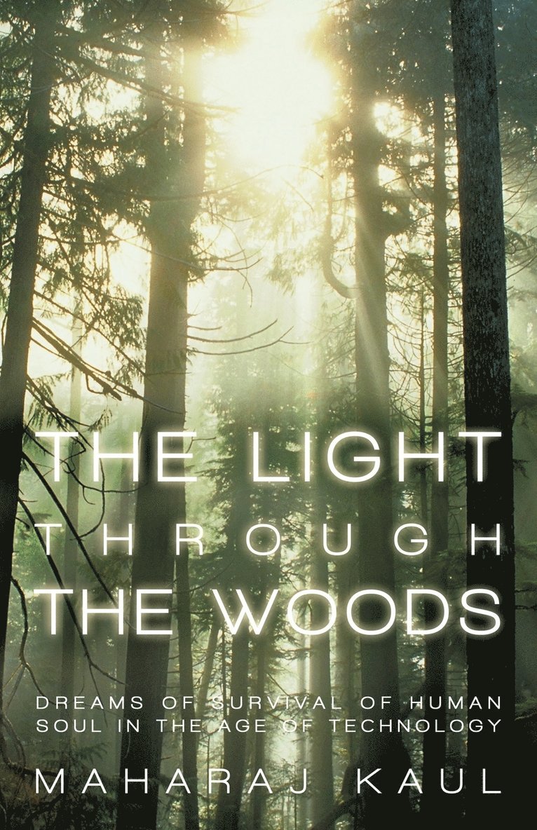 The Light through the Woods 1