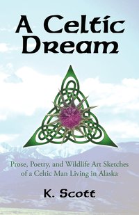 bokomslag A Celtic Dream