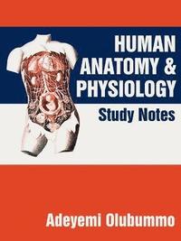 bokomslag Human Anatomy and Physiology