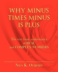 bokomslag Why Minus Times Minus Is Plus