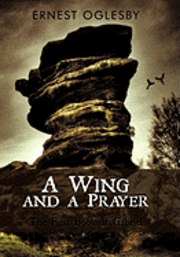 A Wing and a Prayer 1