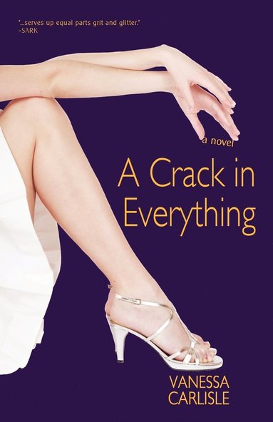 bokomslag Crack in Everything