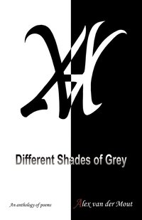 bokomslag Different Shades of Grey