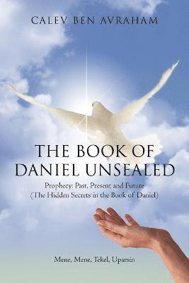 bokomslag The Book of Daniel Unsealed