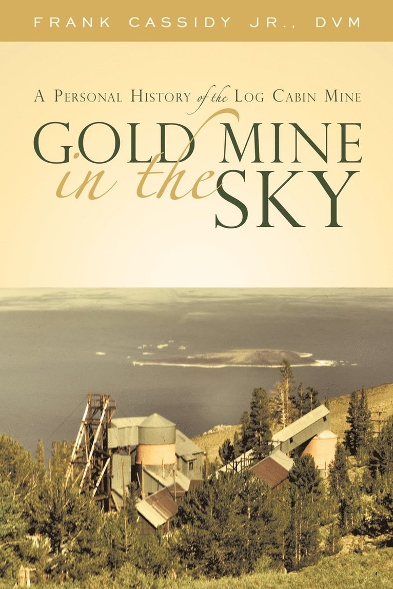 Gold Mine in the Sky 1