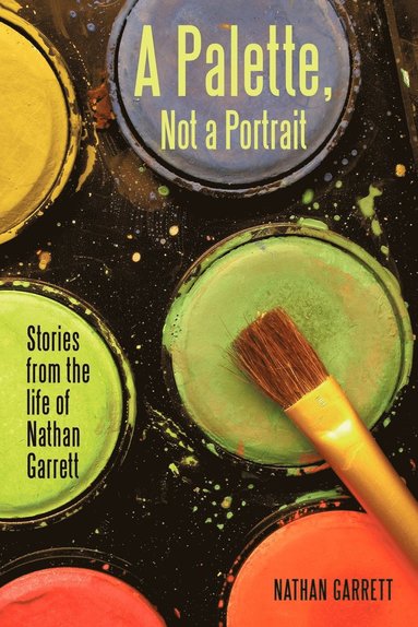 bokomslag Palette, Not a Portrait