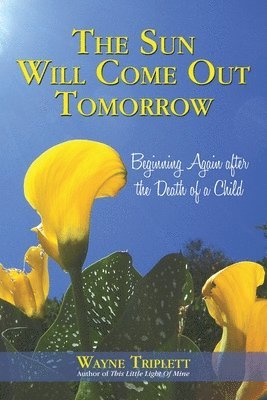Wayne Triplett - Sun Will Come out Tomorrow, Häftad