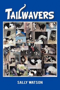 bokomslag Tailwavers