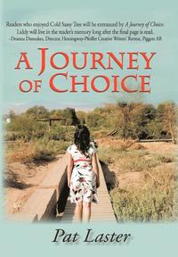 bokomslag A Journey of Choice