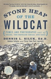 bokomslag Stone Heap of the Wildcat