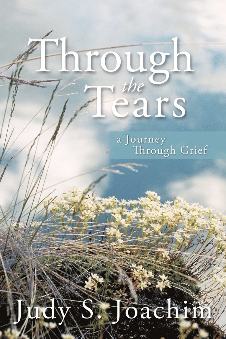 Through the Tears 1