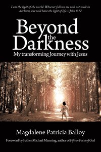 bokomslag Beyond the Darkness