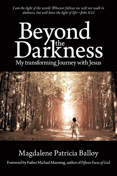 bokomslag Beyond the Darkness