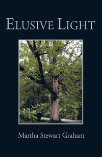 bokomslag Elusive Light