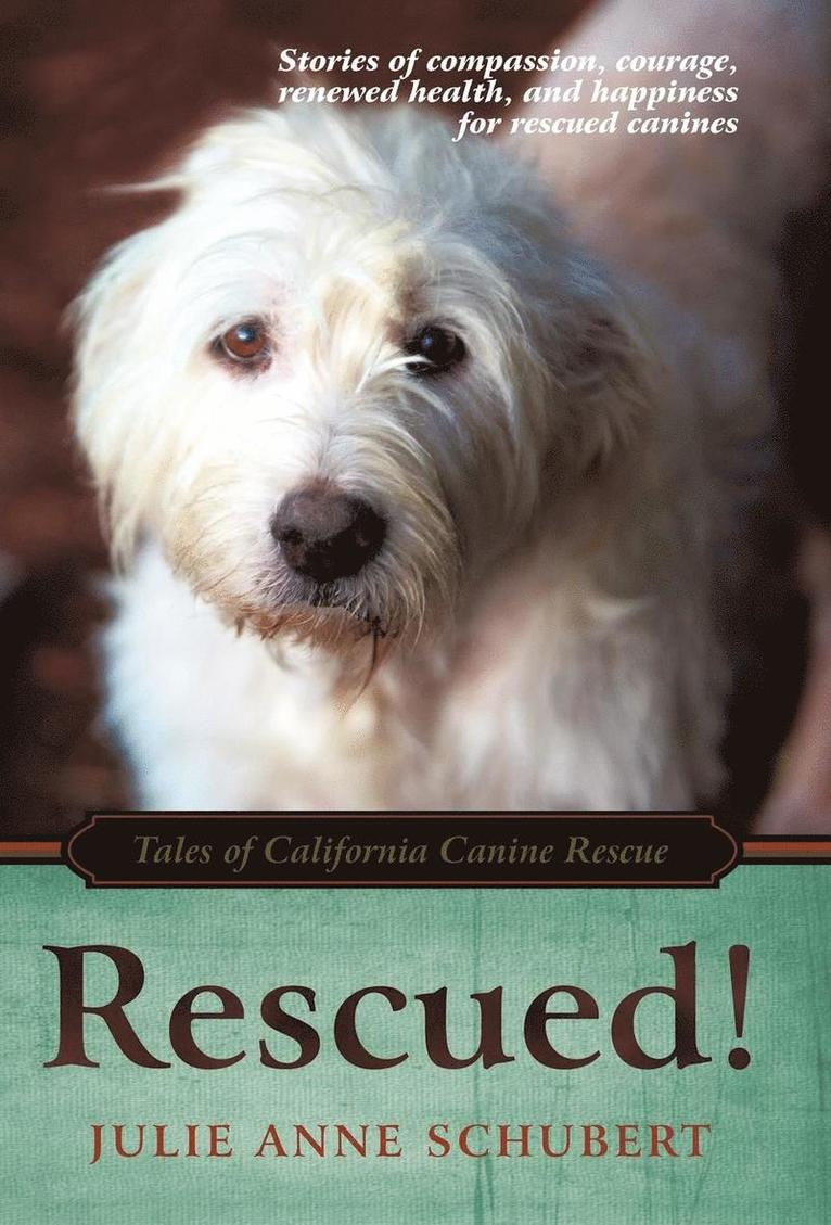 Julie Anne Schubert - Rescued!, Inbunden