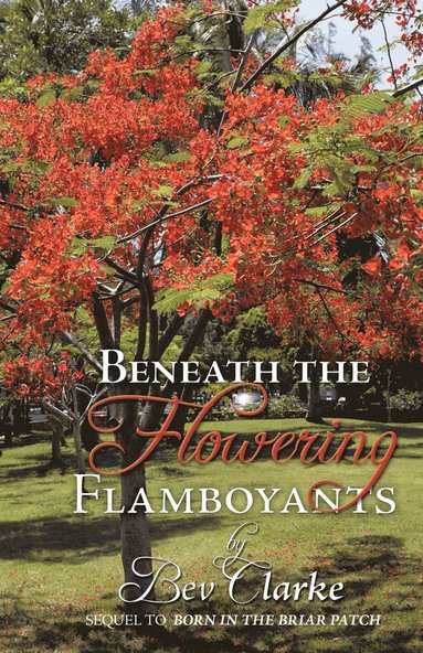 bokomslag Beneath the Flowering Flamboyants