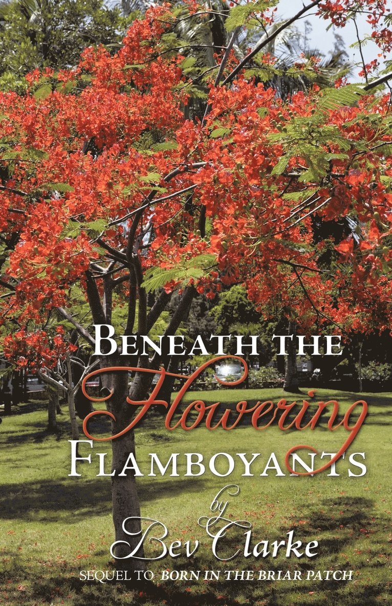 Bev Clarke - Beneath the Flowering Flamboyants, Häftad
