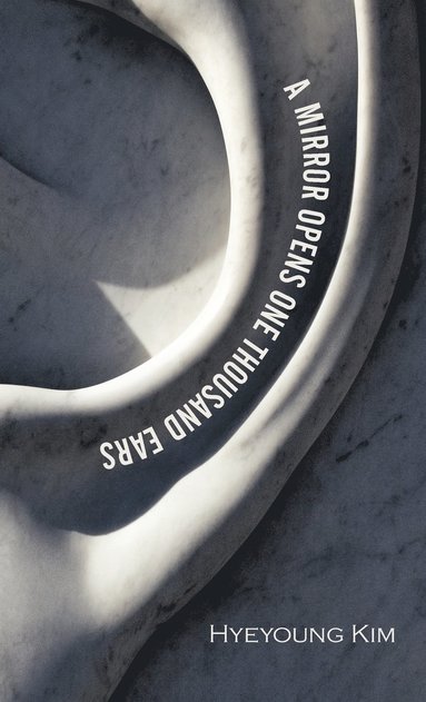 bokomslag Mirror Opens One Thousand Ears