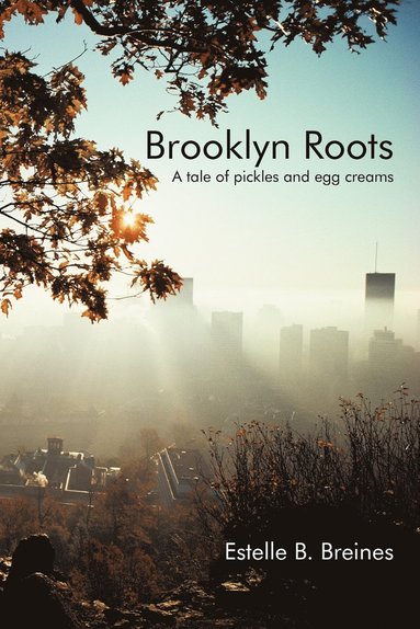 bokomslag Brooklyn Roots