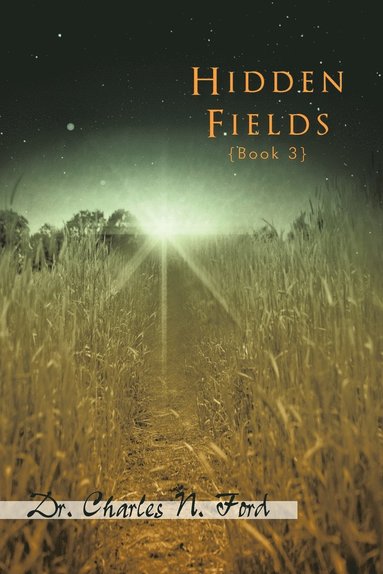 bokomslag Hidden Fields Book 3
