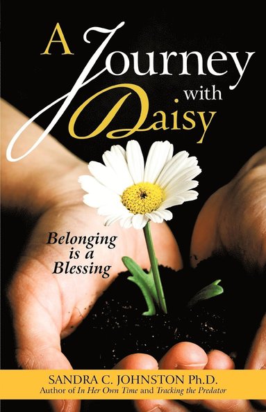 bokomslag Journey with Daisy
