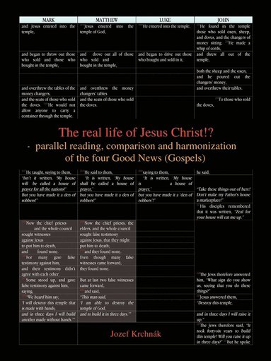 bokomslag Real Life of Jesus Christ!? - Parallel Reading, Comparison and Harmonization of the Four Good News (Gospels)