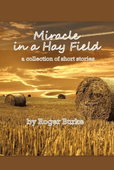 bokomslag Miracle in a Hay Field