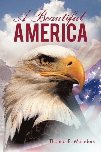 bokomslag Beautiful America