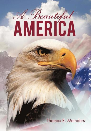 bokomslag Beautiful America