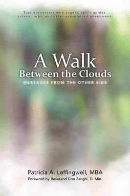 bokomslag Walk Between the Clouds