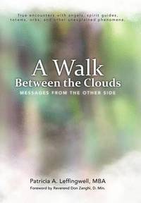 bokomslag Walk Between the Clouds