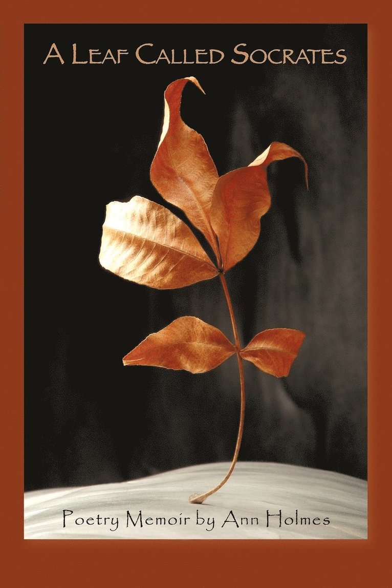 Ann Holmes - Leaf Called Socrates, Häftad