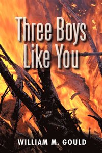 bokomslag Three Boys Like You