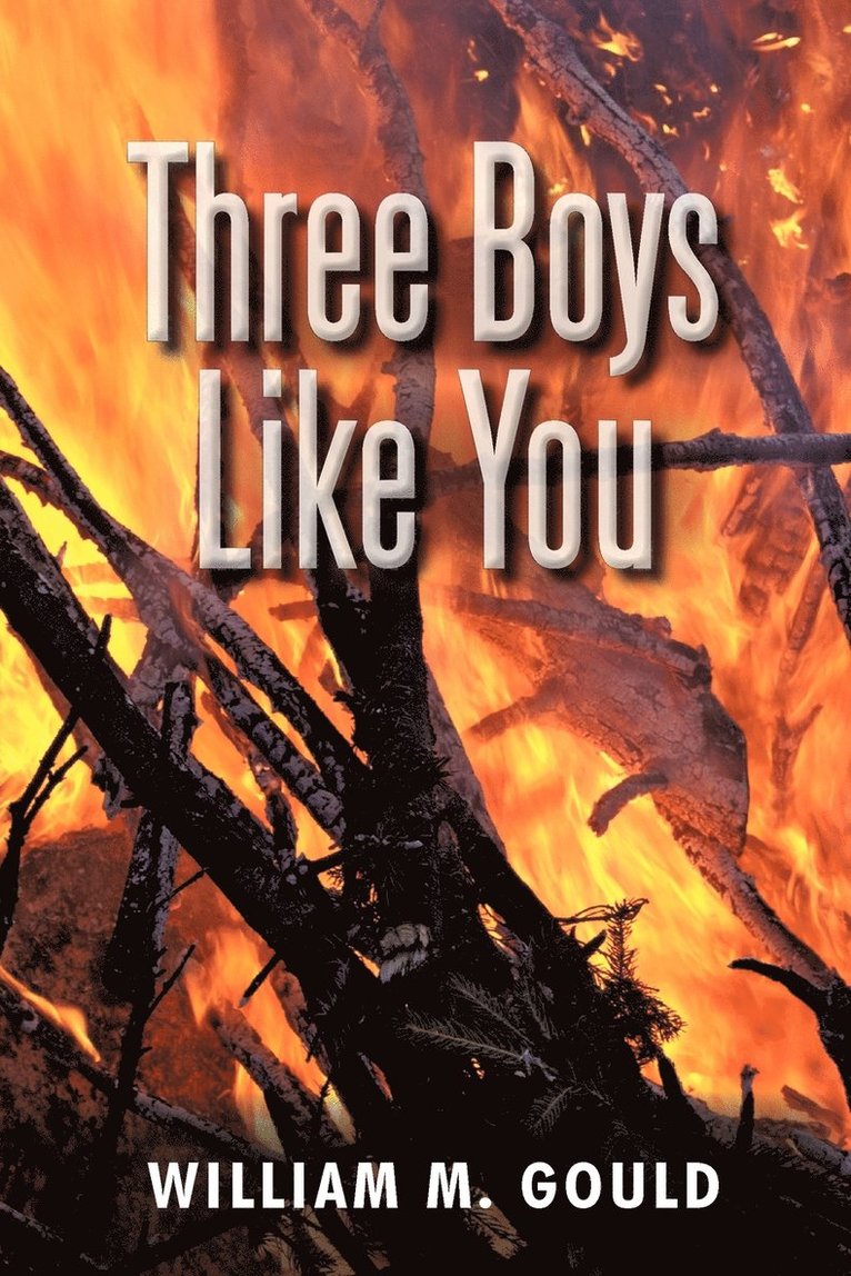 William M Gould, William M. Gould - Three Boys Like You, Häftad