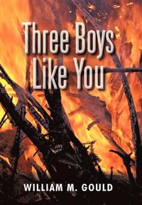 bokomslag Three Boys Like You