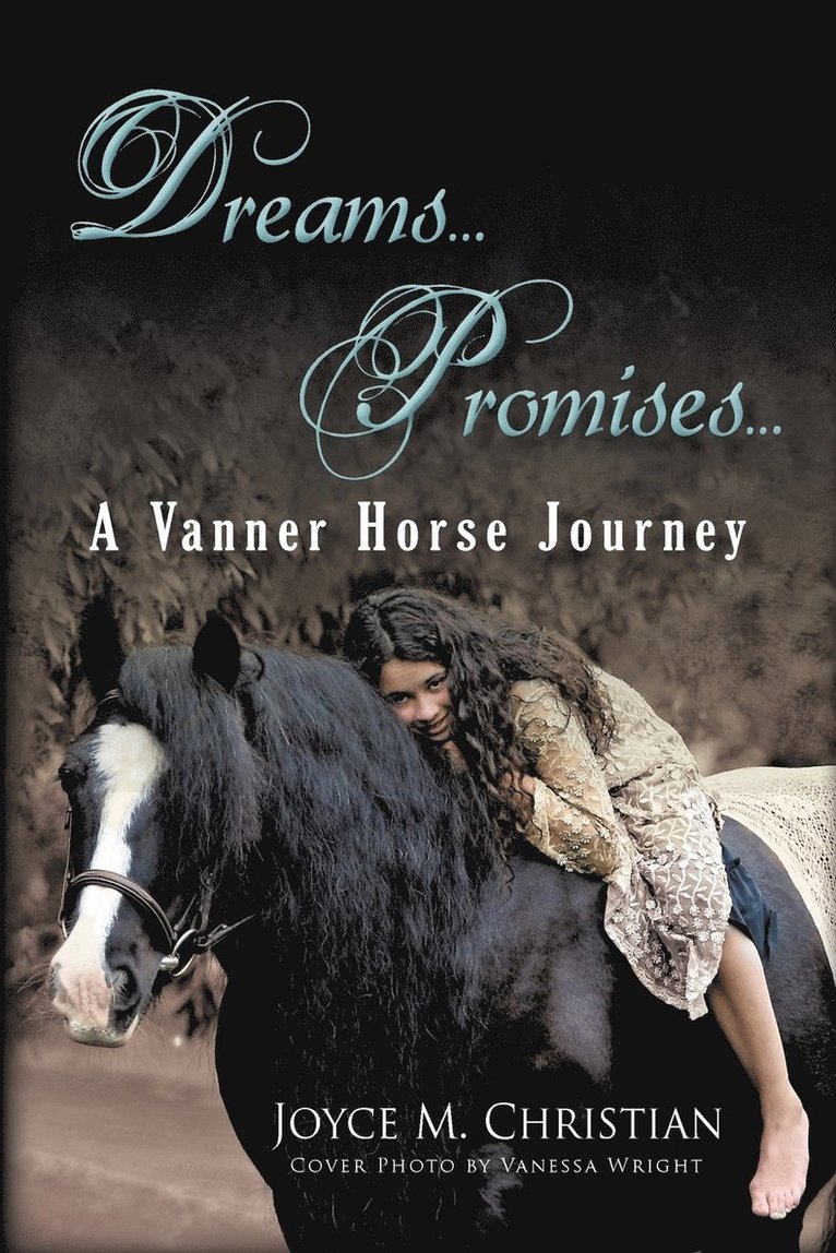 Dreams...Promises...a Vanner Horse Journey 1