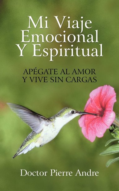 bokomslag Mi Viaje Emocional y Espiritual