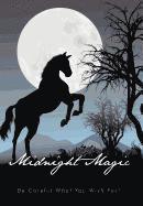 bokomslag Midnight Magic