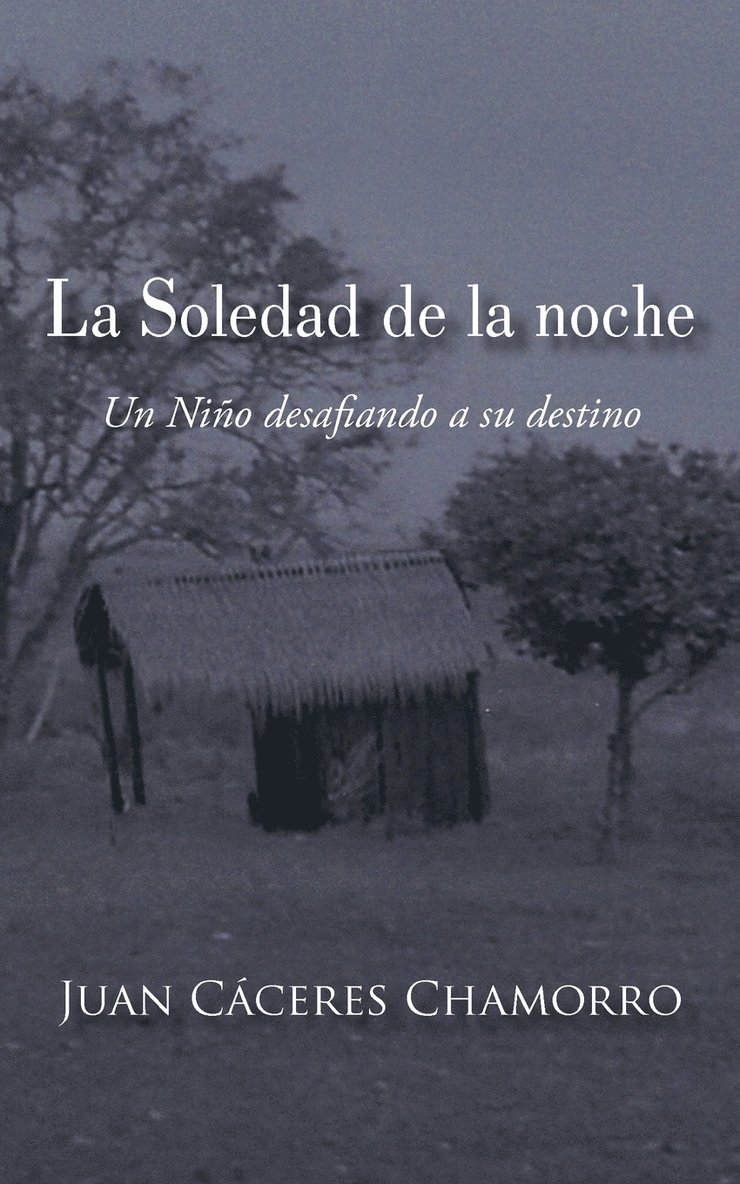 La Soledad de La Noche 1