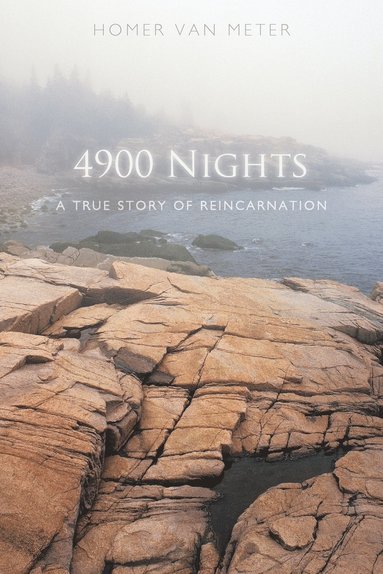 bokomslag 4900 Nights