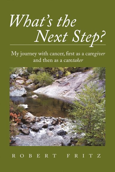Robert Fritz - What's the Next Step?, Häftad