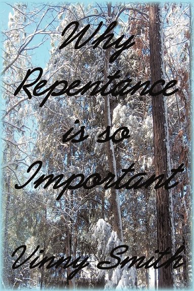 bokomslag Why Repentance is so Important