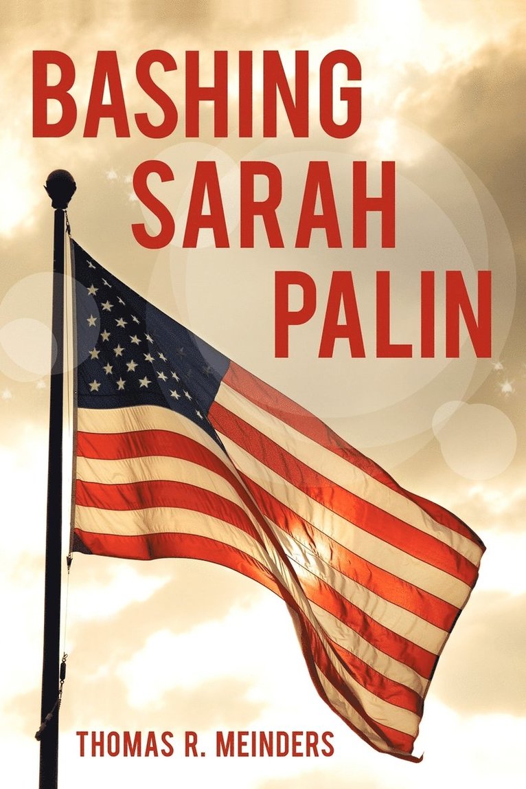 Bashing Sarah Palin 1