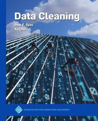 bokomslag Data Cleaning