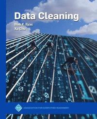bokomslag Data Cleaning