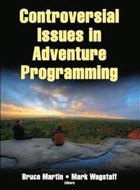 bokomslag Controversial Issues in Adventure Programming