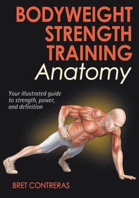 Bodyweight Strength Training Anatomy 1